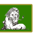 Boy Scout Troop 215 Wilmington NC New Hanover County Cape Fear Council USA